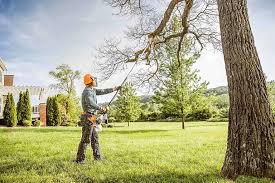 How Our Tree Care Process Works  in  Chapel Hill, NC